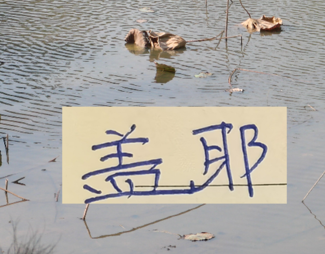 MK体育官方入口-像一堵墙的盖伊 会是申花的卢卡库 还是升级版马莱莱